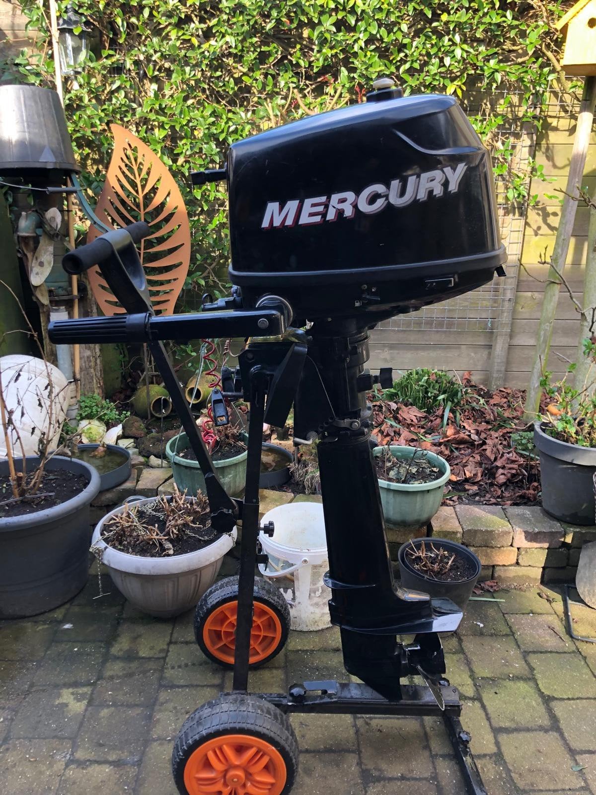 Buitenboordmotor mercury Langstaart, Ophalen