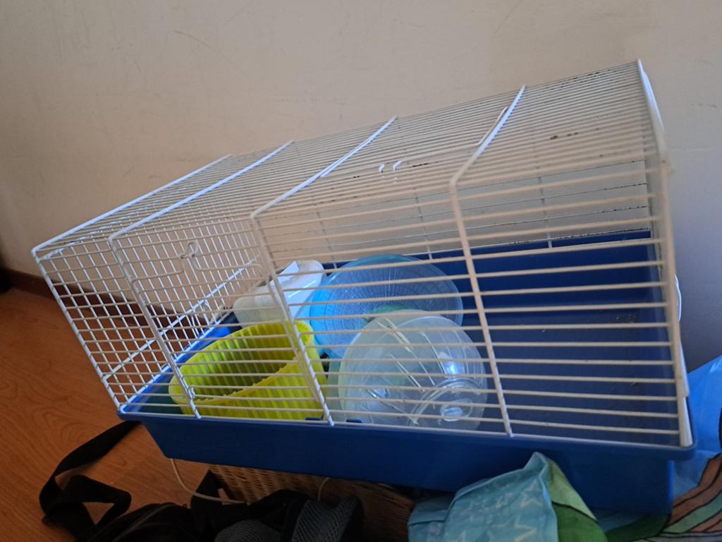 Kooi, Dieren en Toebehoren, Knaagdieren en Konijnen | Hokken en Kooien, Ophalen, Minder dan 75 cm, Kooi, Minder dan 60 cm