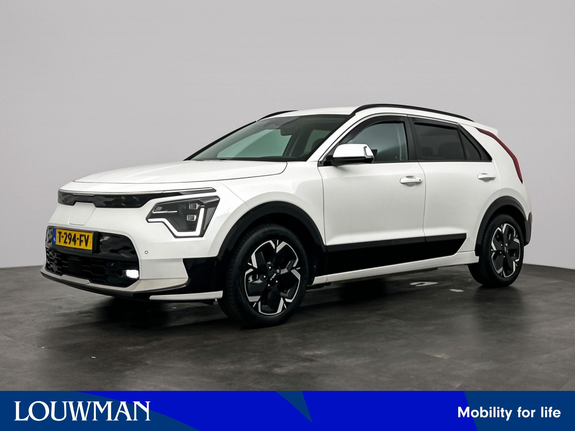 Kia Niro EV DynamicPlusLine 64.8 kWh | Trekhaak | Stuur-/Sto