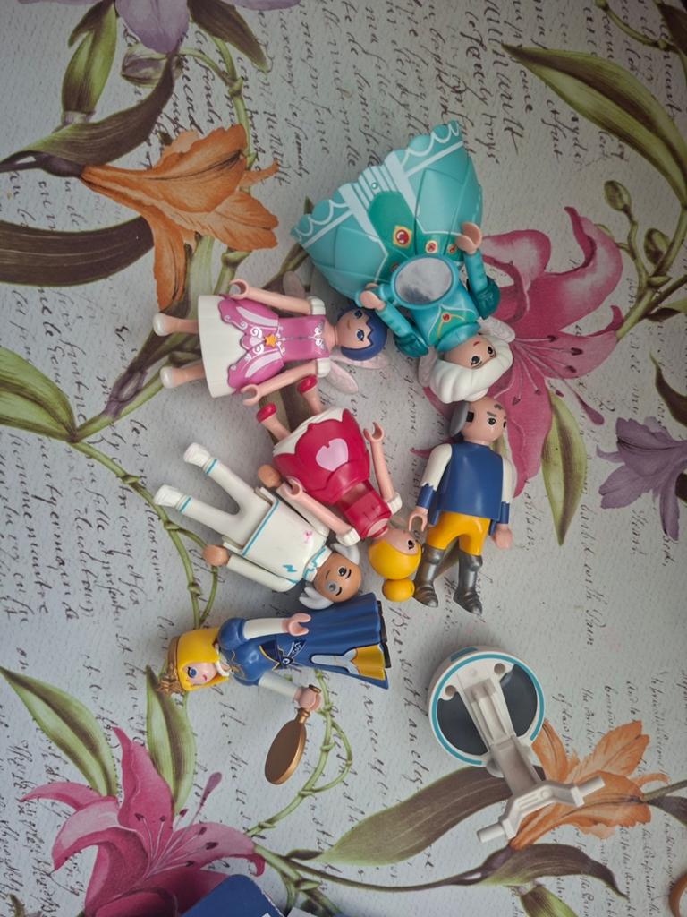Playmobil super 4 vrienden, Ophalen of Verzenden, Patroon