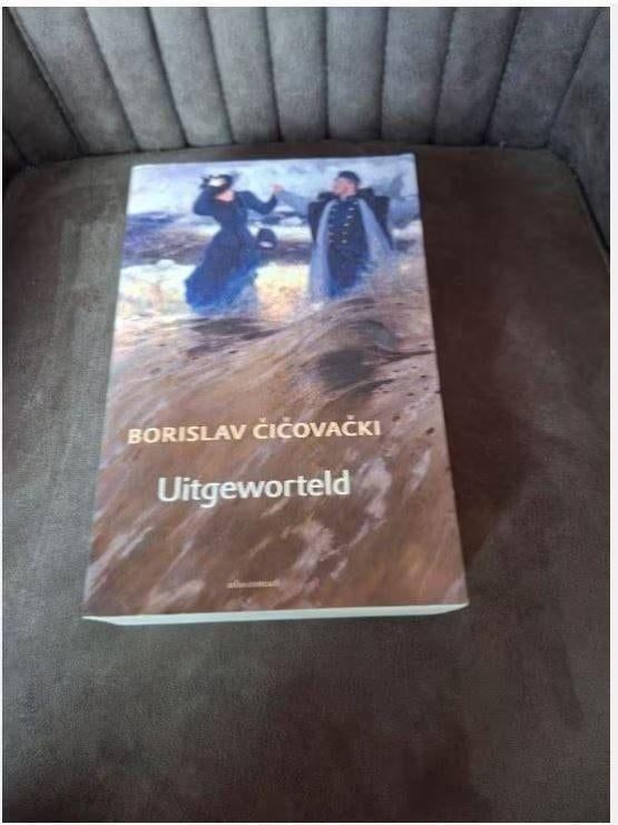 uitgeworteld - Borislav Čičovački, Boeken, Ophalen of Verzenden, Zo goed als nieuw