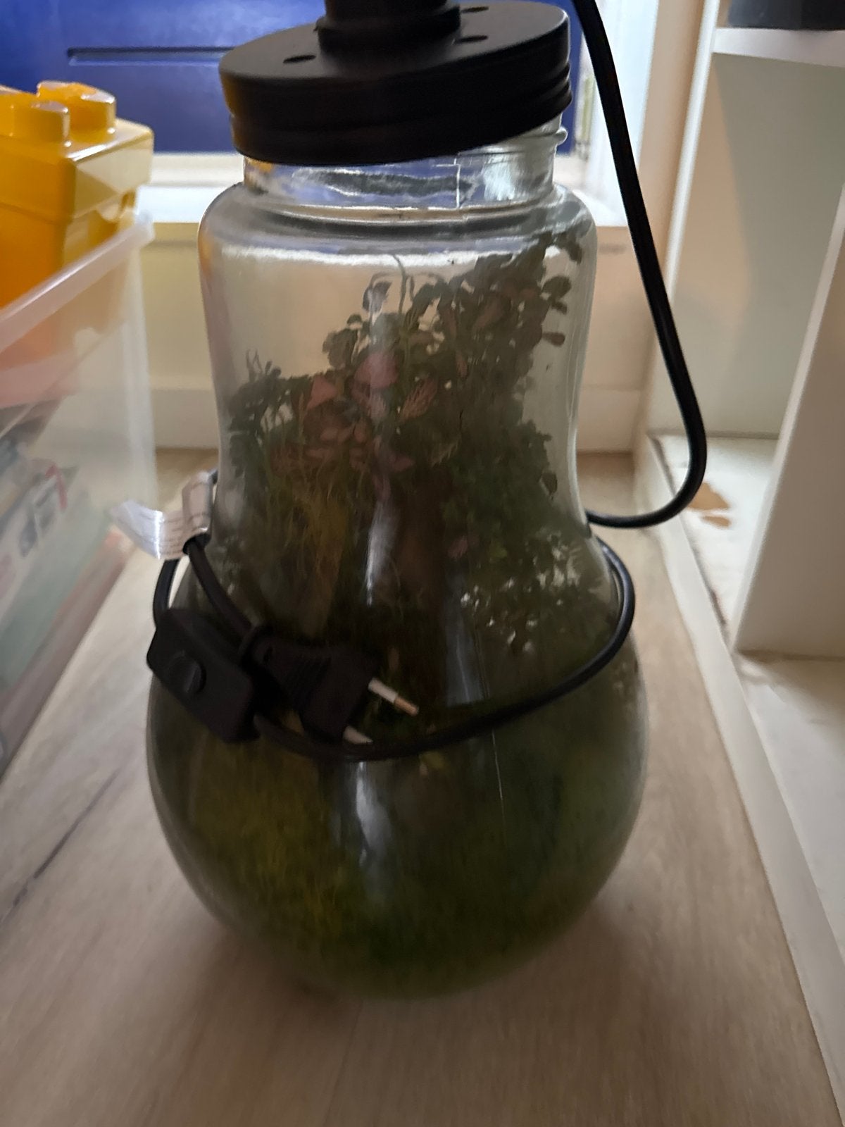 Decoratieve lamp in glazen pot met planten, Overige merken, Gebruikt, Meerkleurig, Overige fittingen
