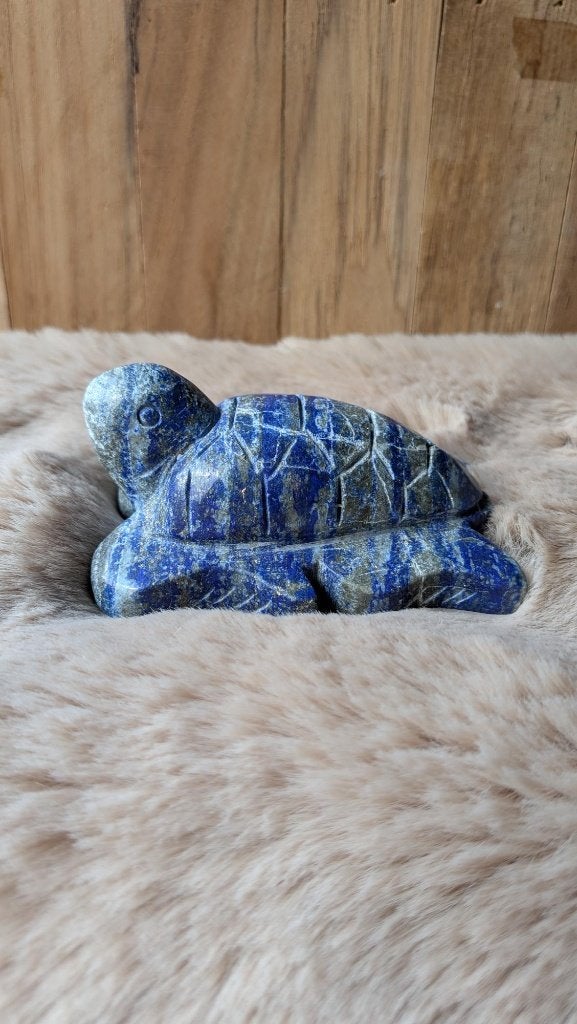 Schildpad Lapis Lazuli (309g), Ophalen of Verzenden, Overige typen