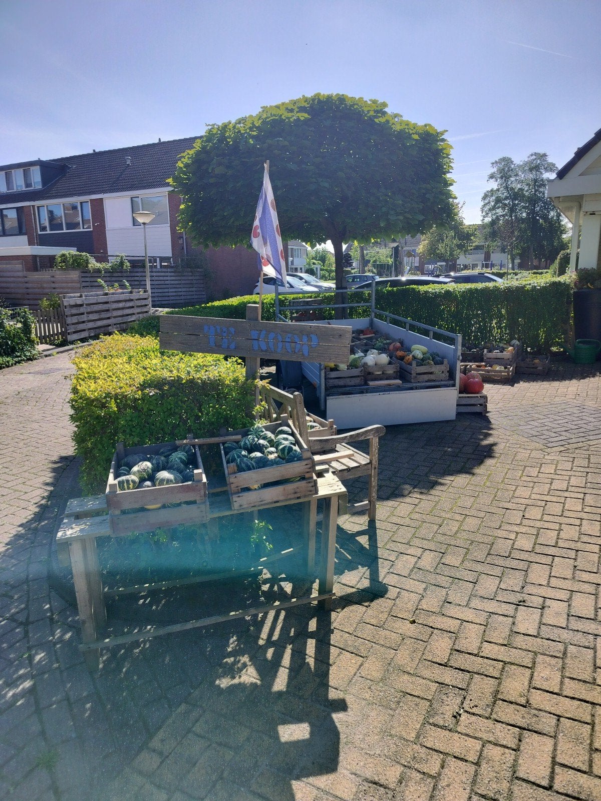 Verse Pompoenen en Sierkalebassen, Ophalen