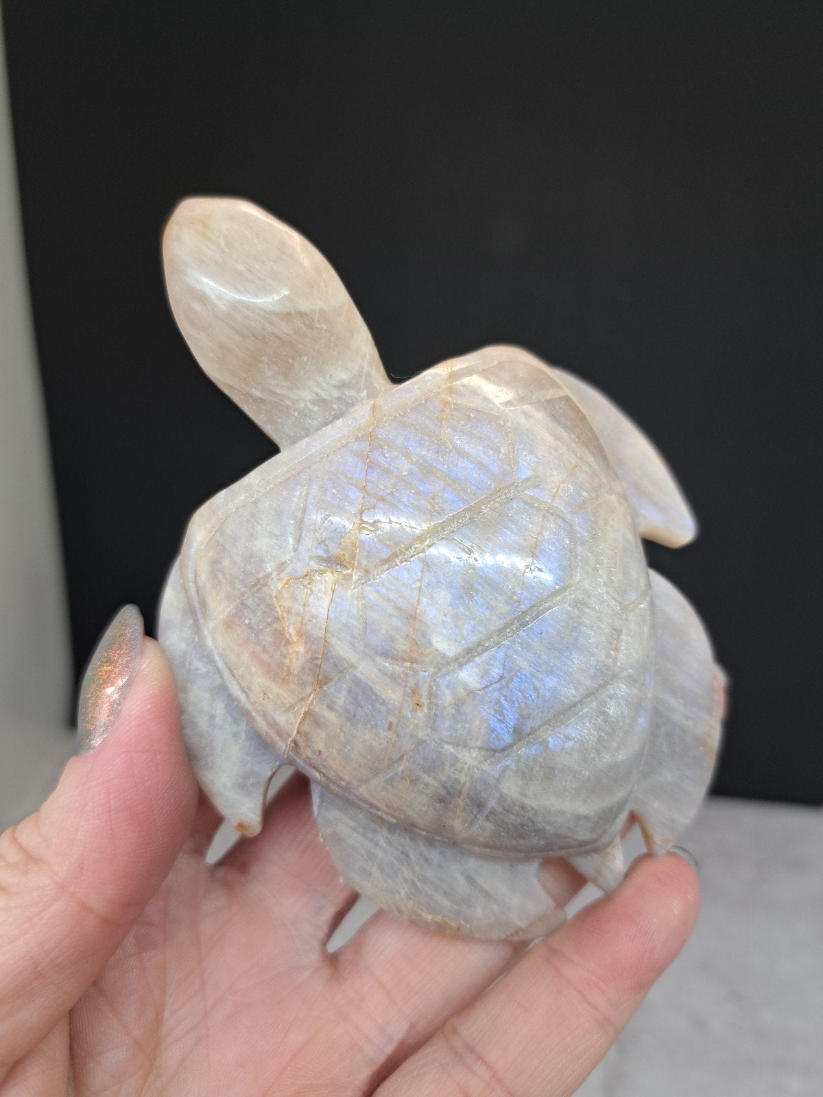 Maansteen schildpad, Verzamelen, Ophalen of Verzenden, Mineraal