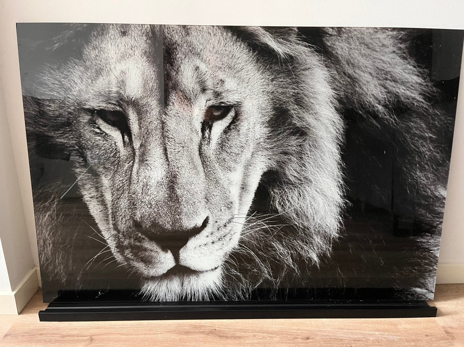 Mooi glas schilderij van leeuwenkop, Huis en Inrichting, Woonaccessoires | Schilderijen, Tekeningen en Foto's, Ophalen, Zo goed als nieuw
