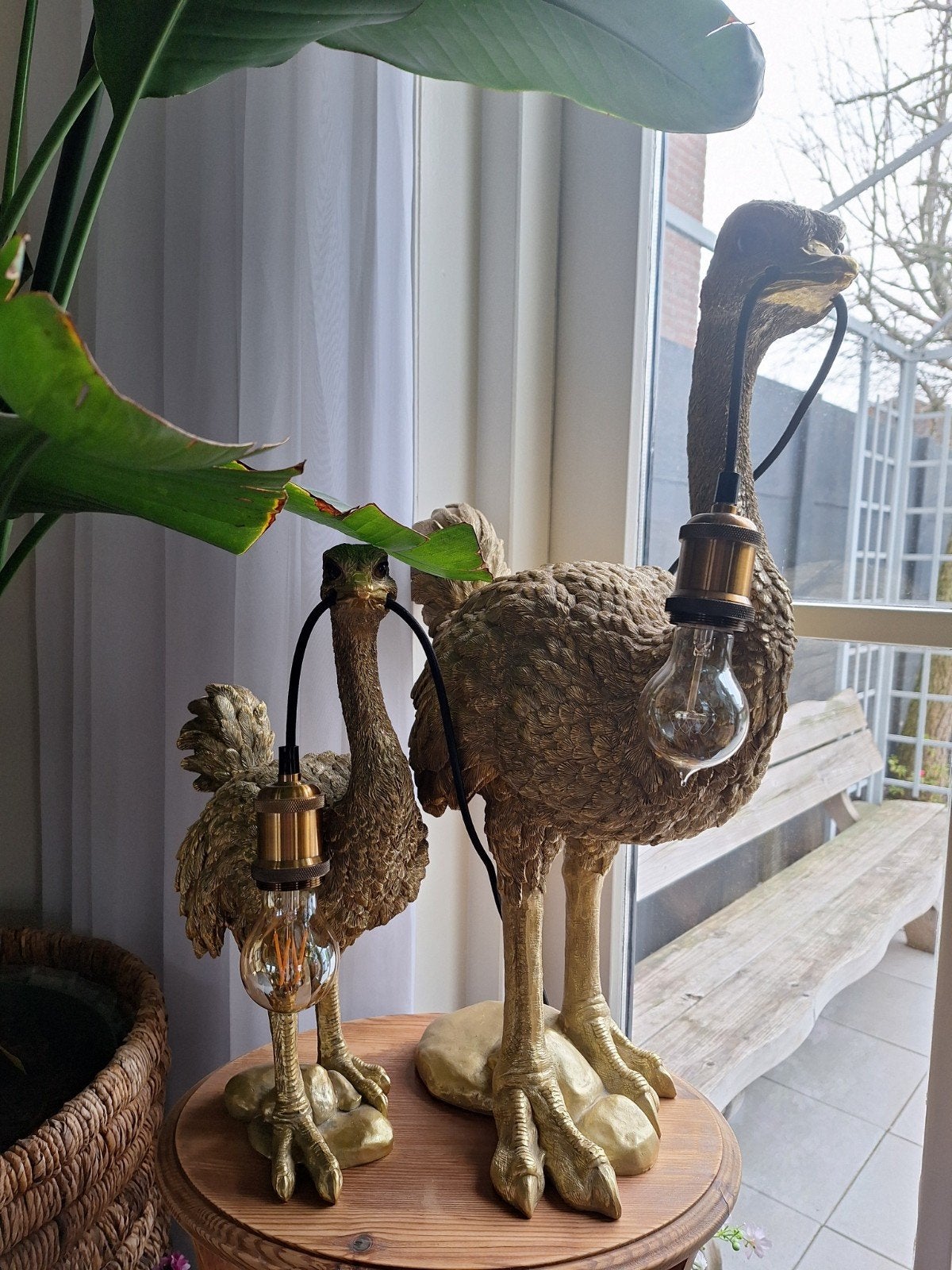 Tafellamp struisvogels, Ophalen