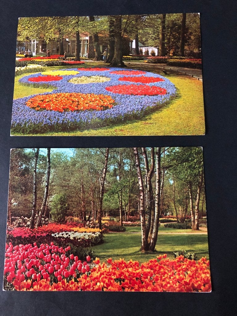 Ansichtkaarten gelopen Keukenhof Lisse 1983 per stuk bieden, Ophalen of Verzenden, 1980 tot heden, Gelopen, Seizoenen