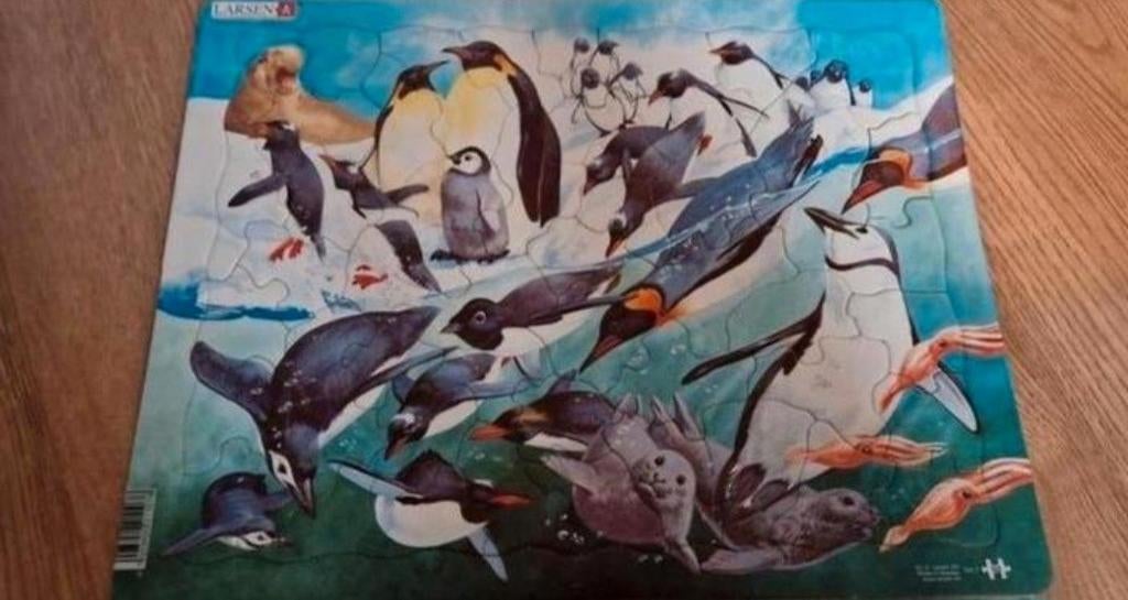 Wilde dieren zuidpool - larsen puzzel 50 stukken, Ophalen of Verzenden, 10 tot 50 stukjes, Zo goed als nieuw
