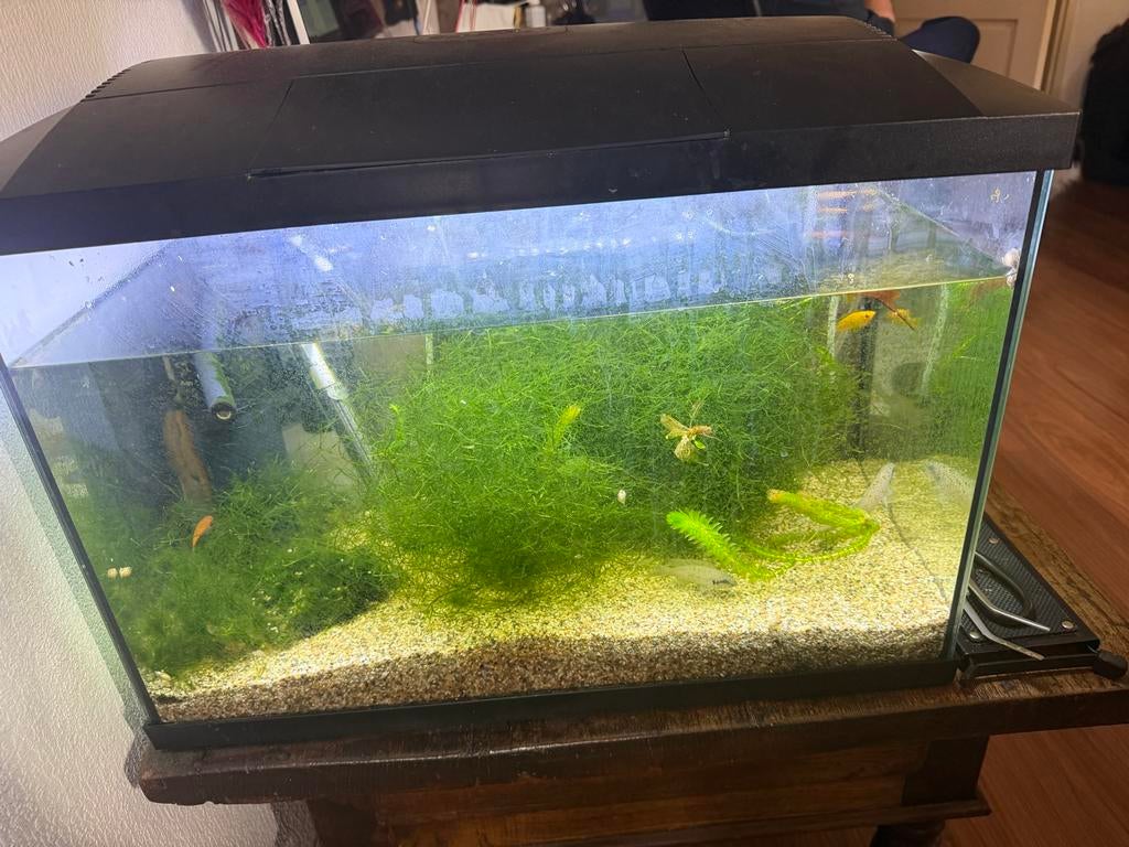 aquarium 70litr, Ophalen of Verzenden, Leeg aquarium