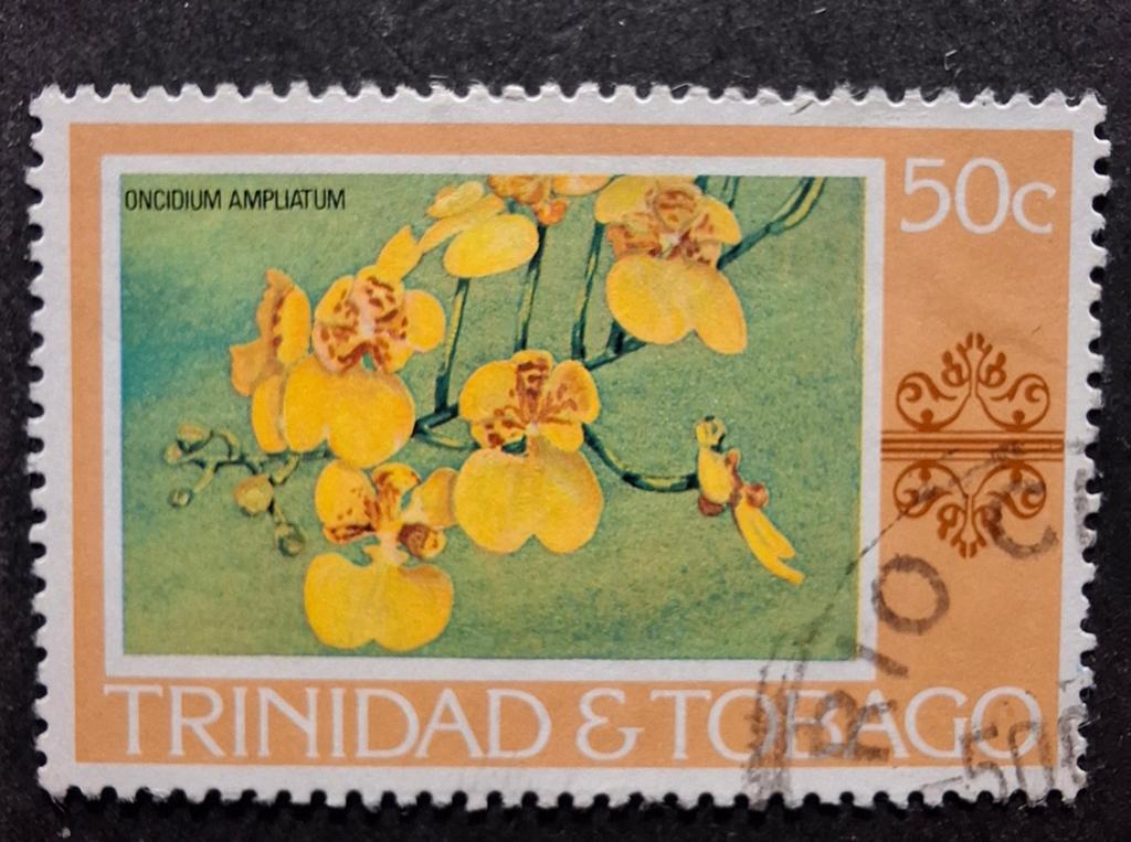 Trinidad bloemen, Ophalen of Verzenden, Dier of Natuur