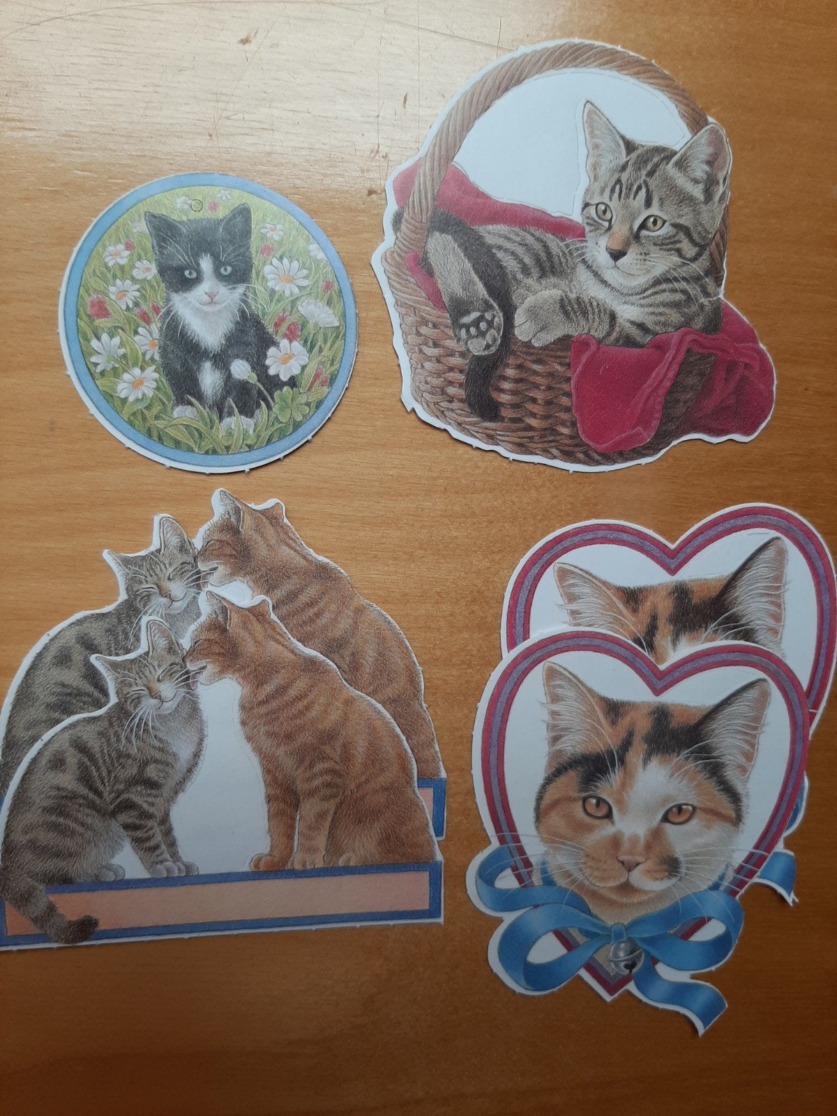 10 plaatjes Franciens katten, Verzenden, Nieuw, Meerdere plaatjes