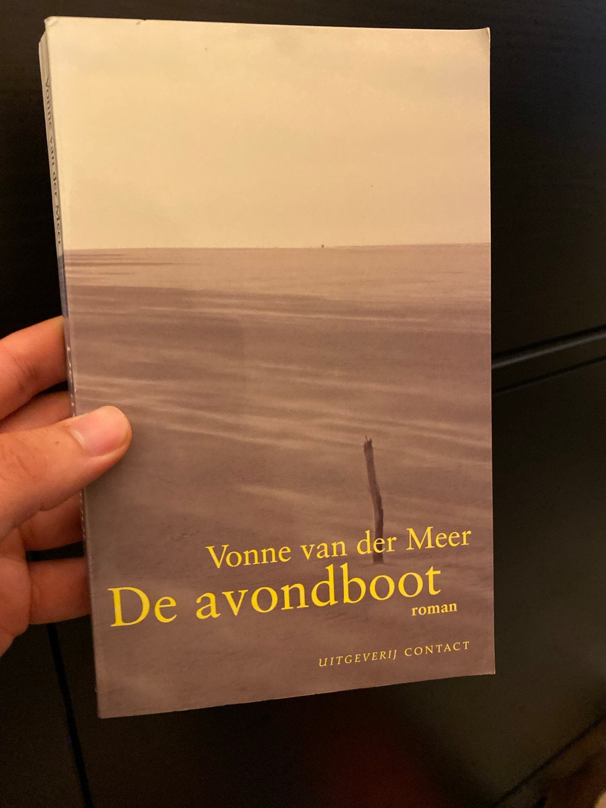 De avondboot - Vonne van der Meer (roman), Ophalen of Verzenden, Gelezen, Nederland