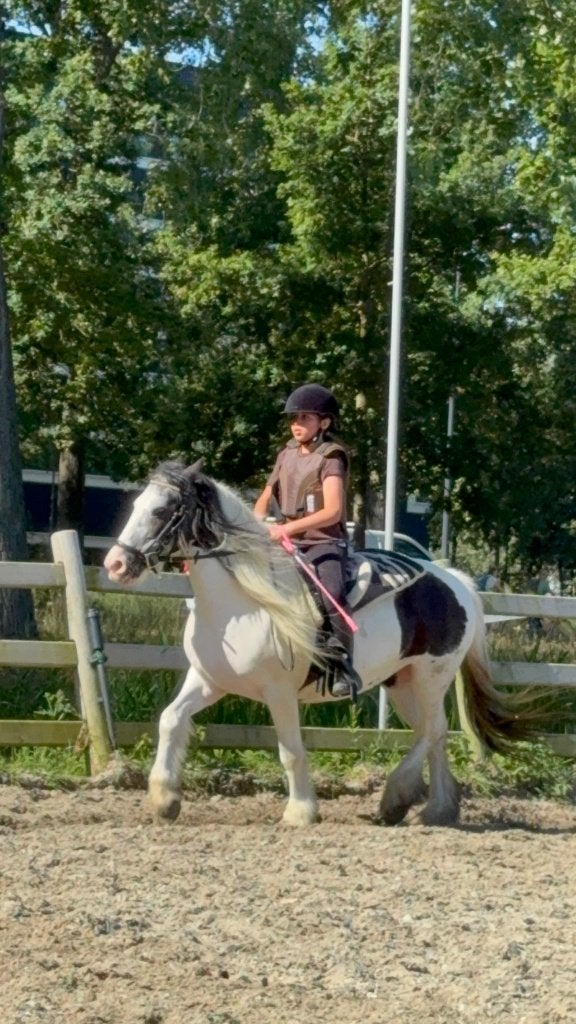 Verzorpony gezocht, Ophalen, Nieuw