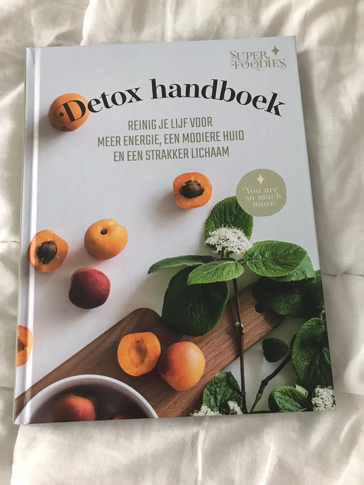 Detox handboek reinig je Lijf voor meer energie een mooiere, Ophalen of Verzenden, Zo goed als nieuw