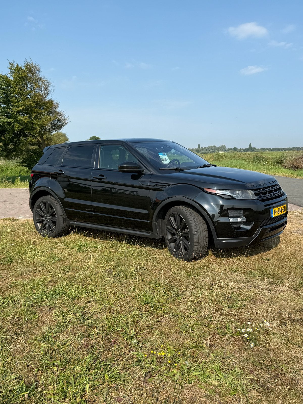 Land Rover Range Rover Evoque  2.0 SI  2014 Zwart, Auto's, Zwart, Zwart, Leder, Vierwielaandrijving
