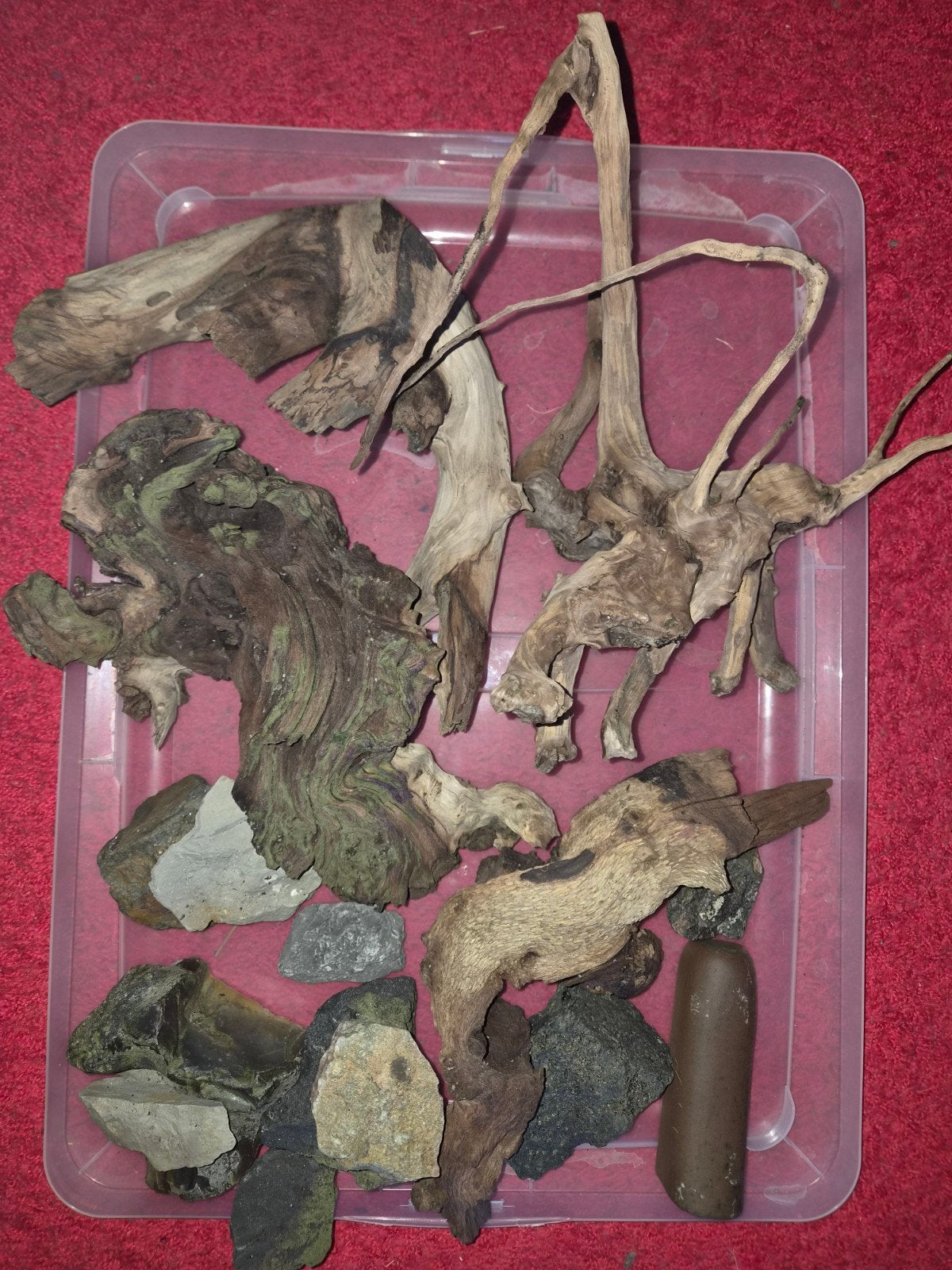 aquarium hout en stenen, Dieren en Toebehoren, Ophalen of Verzenden, Plant(en), Steen of Hout