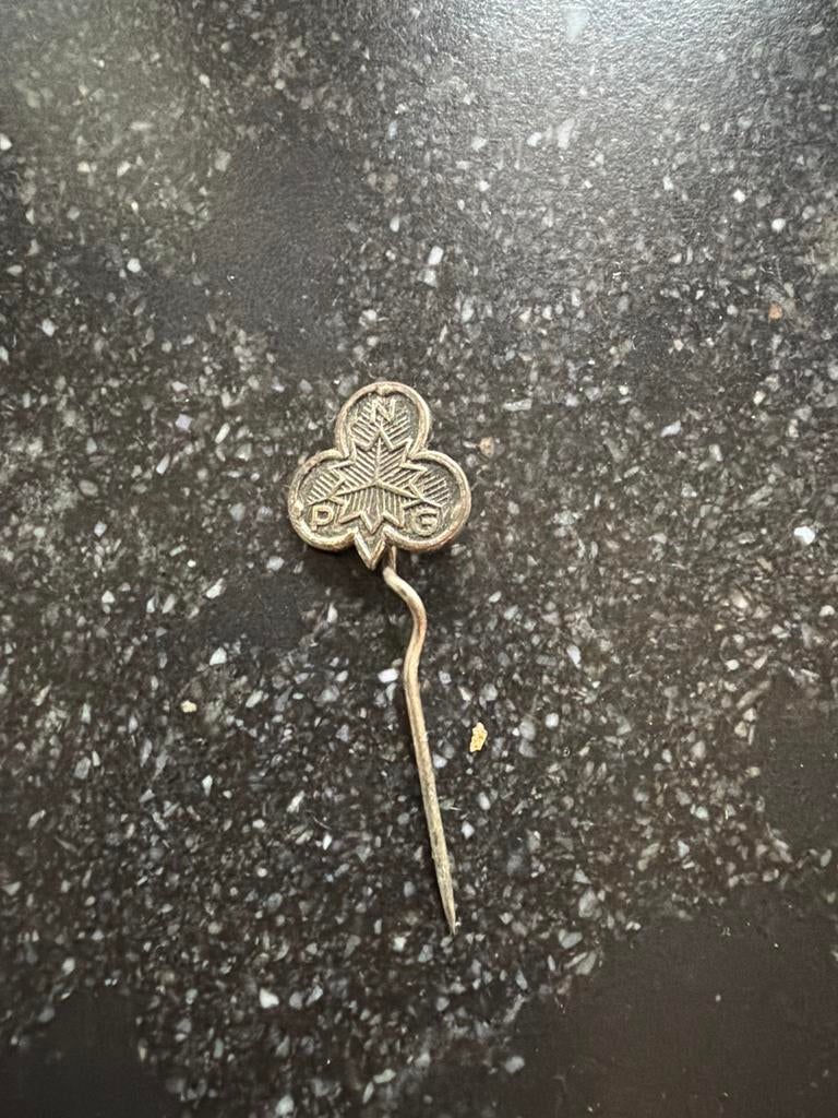 Pin Padvinderij Nederlandsche Padvinders Gilde, Ophalen of Verzenden, Gebruikt, Embleem, Speld of Insigne