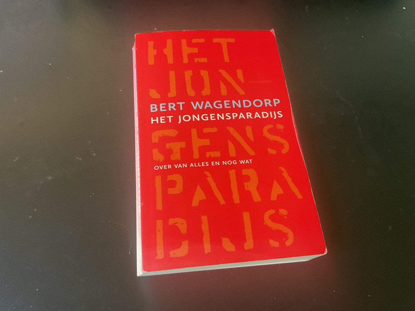 Bert Wagendorp - Het Jongensparadijs, Boeken, Ophalen of Verzenden, Gelezen
