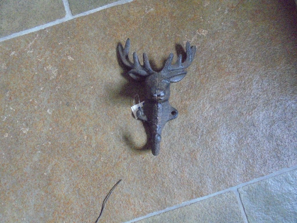 wandhaak rendier / hert, Wandkapstok, Nieuw, Ophalen of Verzenden, Minder dan 100 cm