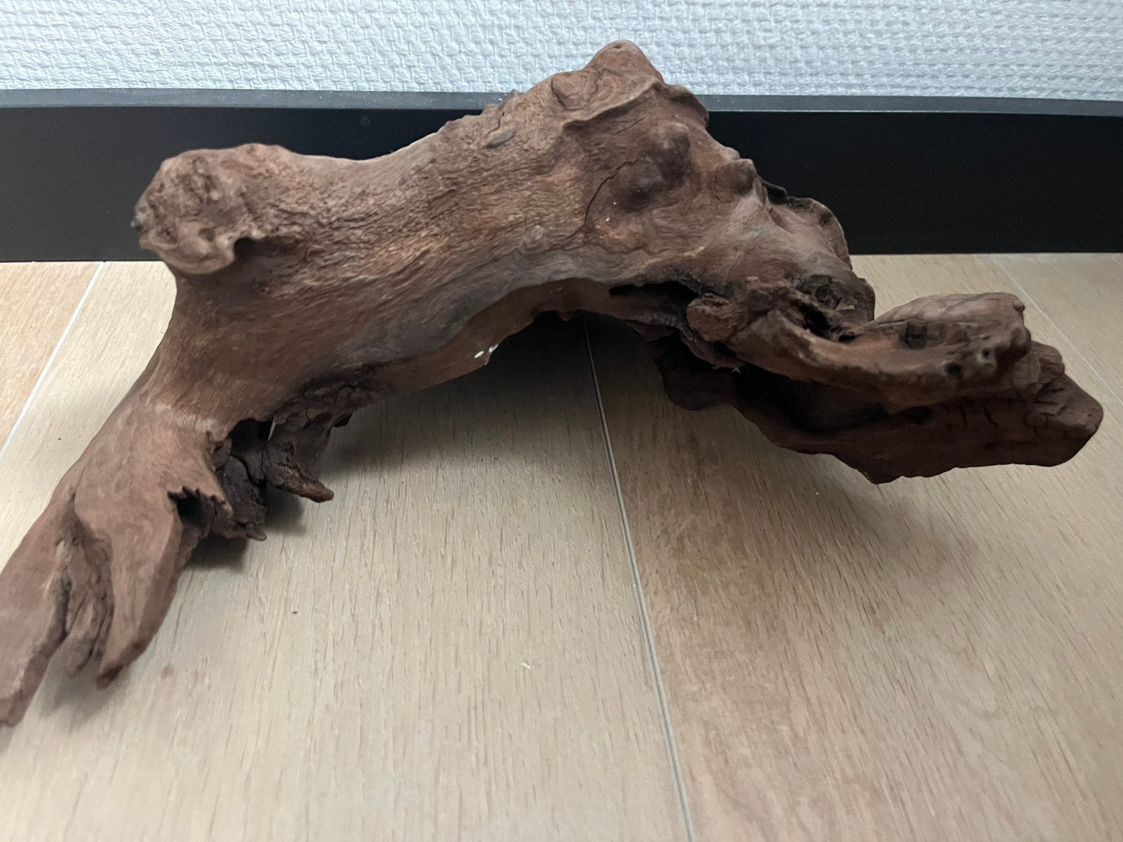 Groot stuk aquarium hout, Ophalen, Zo goed als nieuw, Plant(en), Steen of Hout