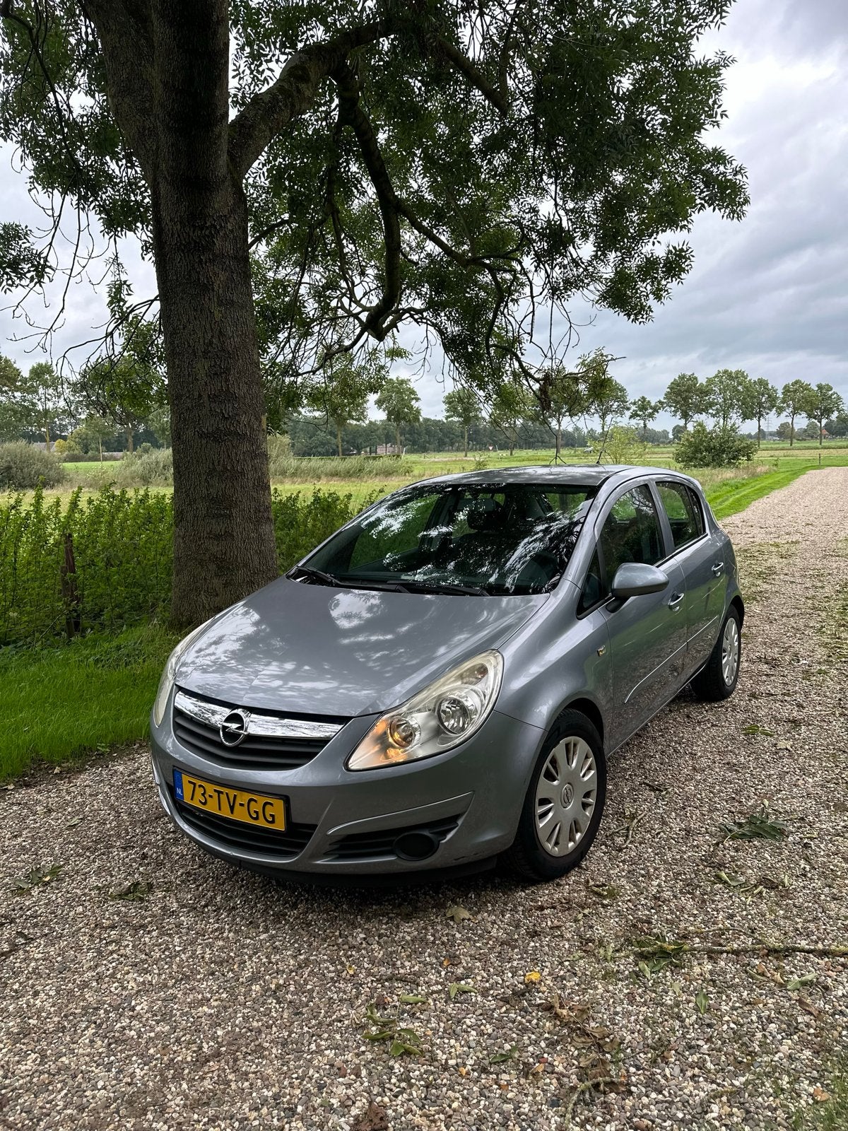Opel Corsa 1.2 16V / 5D WR 2007 Grijs, Voorwielaandrijving, Stof, 4 cilinders, 1229 cc