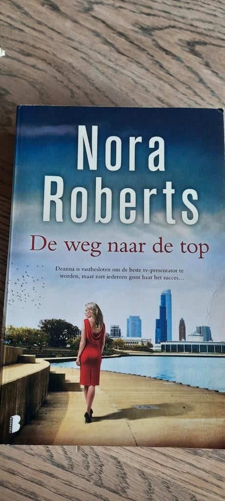 Nora Roberts - De weg naar de top, Ophalen of Verzenden, Zo goed als nieuw