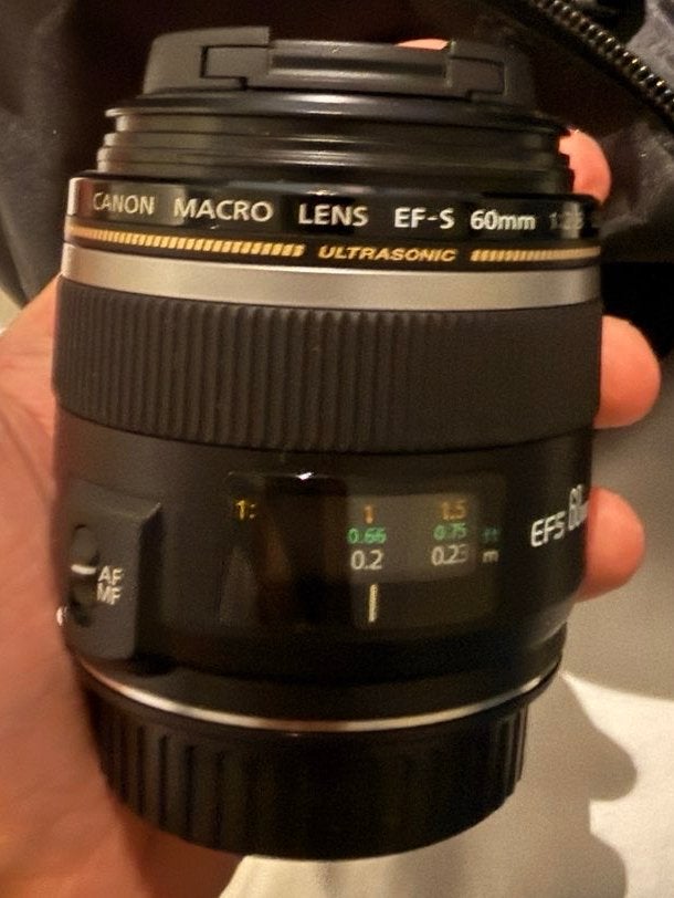 Canon EF-S 60mm f/2.8 Macro USM Lens