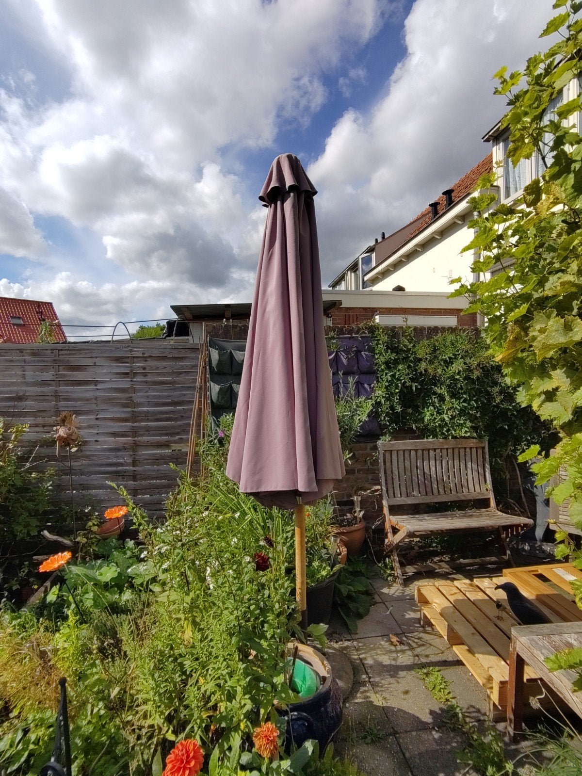 Paarse parasol met houten frame - 2.80m spanwijdte, 2.20 hoo, Tuin en Terras, Ophalen, Gebruikt, 2 tot 3 meter, Stokparasol