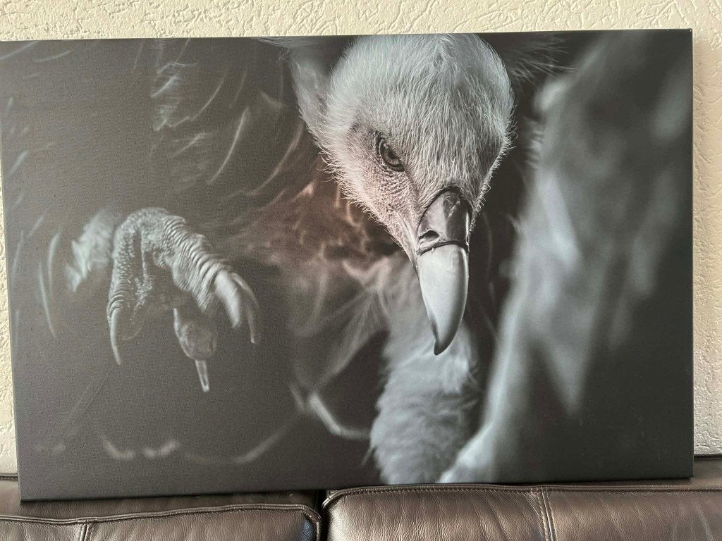 canvas gier, Ophalen, Oorspronkelijke maker, 75 tot 100 cm, 75 cm of meer
