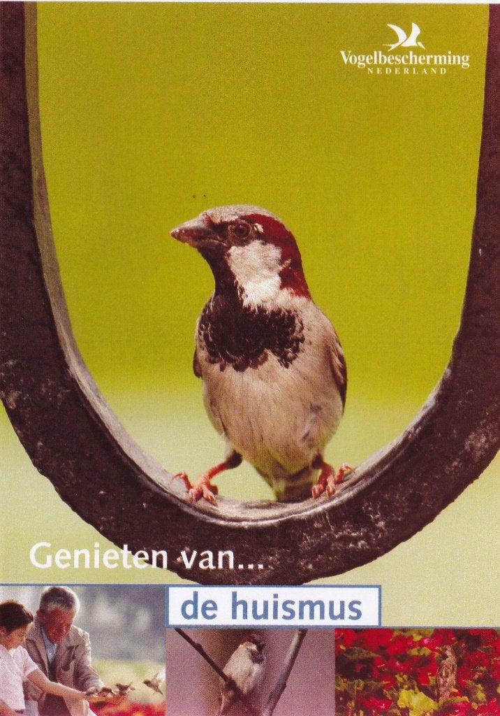 Te koop dvd GENIETEN VAN DE HUISMUS (nederlands Gesproken), Alle leeftijden, Natuur, Nieuw in verpakking, Ophalen of Verzenden