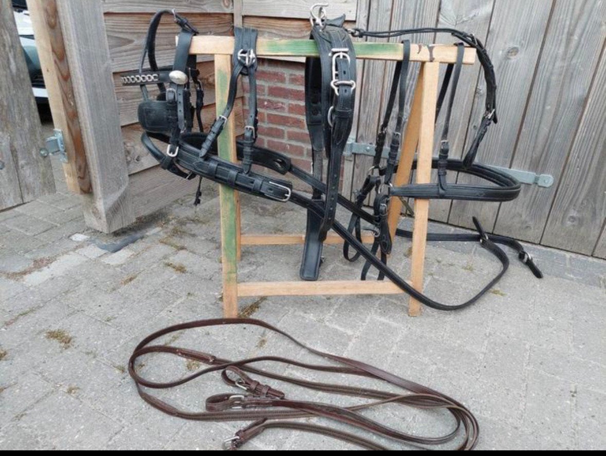 (Mini) Shetlander tuig, Ophalen of Verzenden, Zo goed als nieuw, Mini