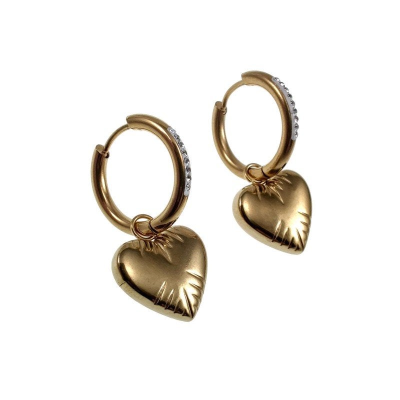 Oorbellen + Hart Hanger Dames Veguld RVS 19mm Oorringen, Overige materialen, Hangers, Birgitta-Gracht 33, 6465 EL Kerkrade, Nederland