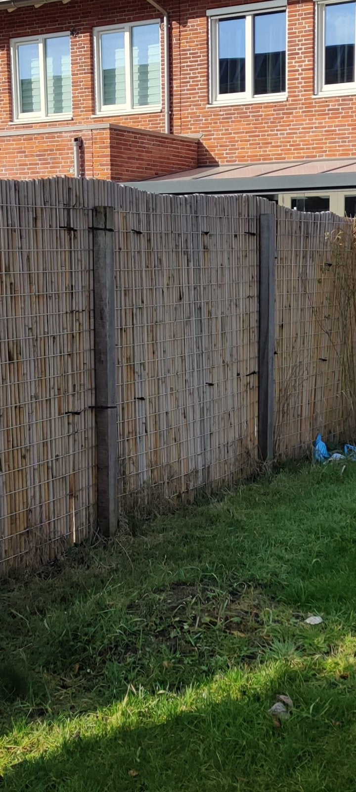 Bamboe hekken (21m) & palen voor natuurlijke tuinafscheiding, Ophalen, Zo goed als nieuw, Hout, Tuinhek