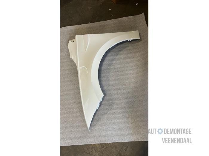 Scherm links-voor van een Volkswagen Polo (C9A), -, Volkswagen, -, Nieuw