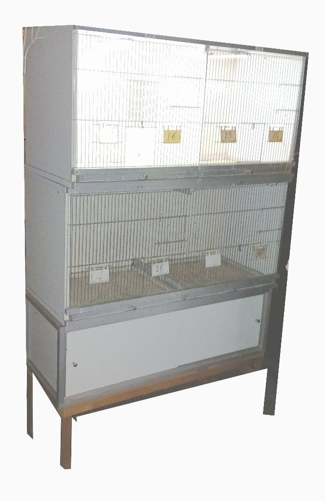 Broedkooien / kweekkooien + verlichting en toebehoren, Dieren en Toebehoren, Vogels | Hokken en Kooien, Ophalen, Gebruikt, Hout