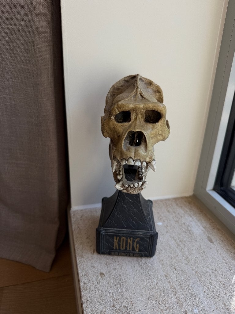 Weta Kong Skull, Verzenden, Gebruikt, Mens