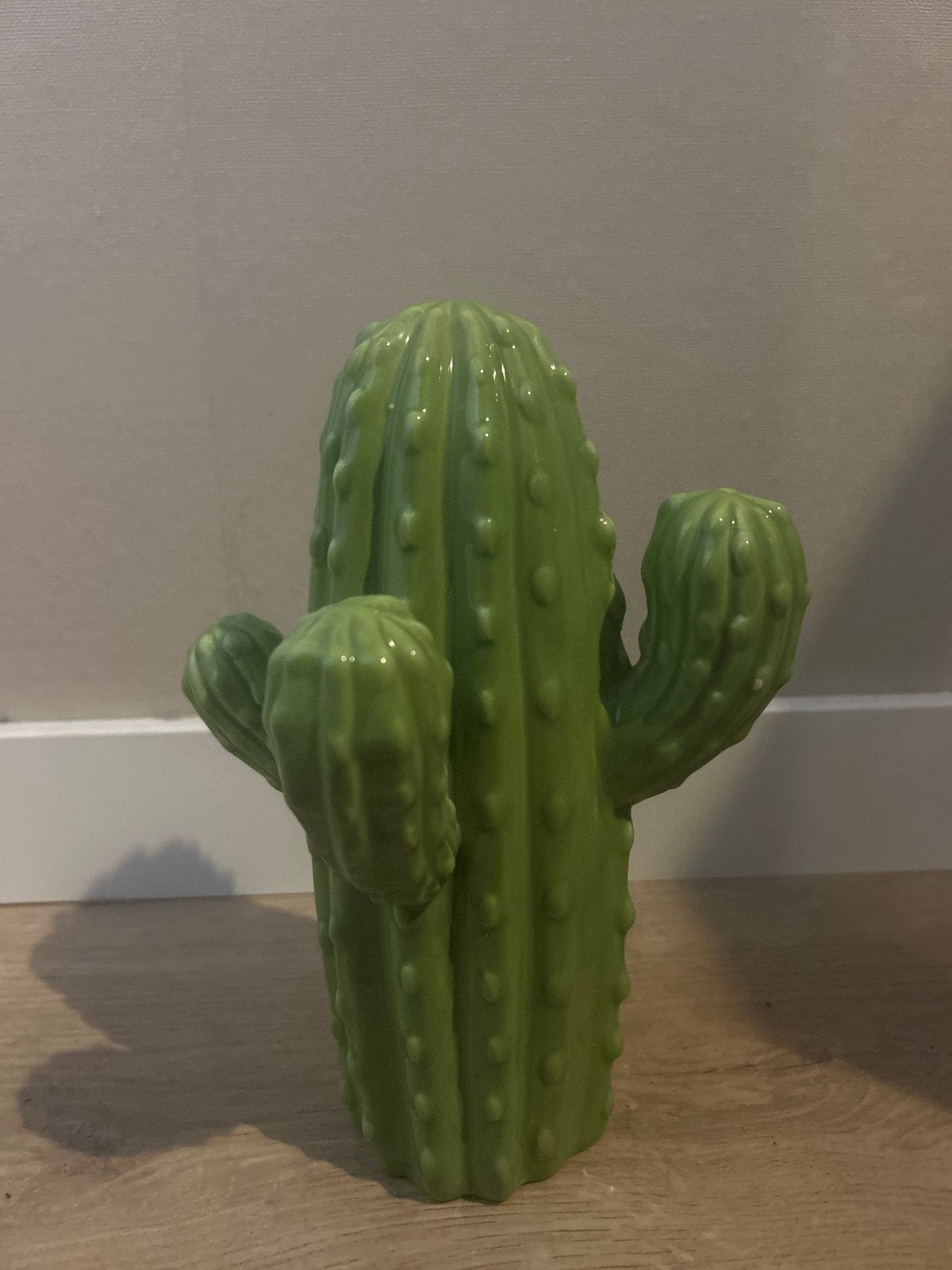 Cactus decoratie, Groen, Ophalen of Verzenden, Zo goed als nieuw, Modern