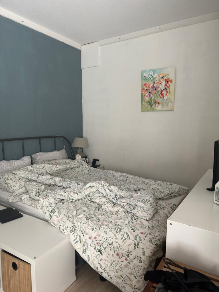 4-daagse overnachting eigen appartement, Huizen en Kamers, 35 tot 50 m², Nijmegen