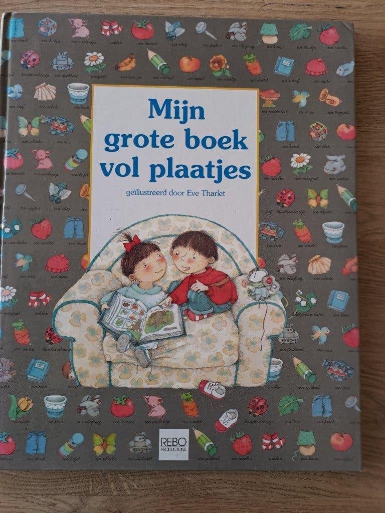MIJN GROTE BOEK VOL PLAATJES. PRODUCTIONS. EVE STARLET, Ophalen of Verzenden, 2 tot 3 jaar, Uitklap-, Voel- of Ontdekboek, Onbekend