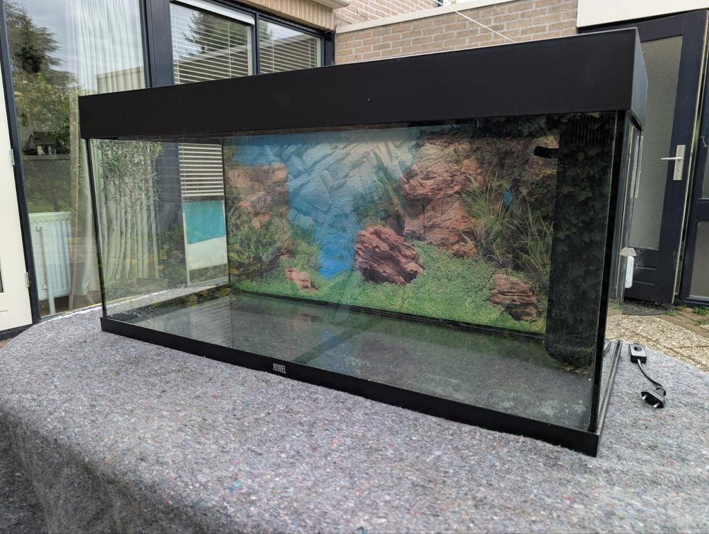 Juwel Aquarium 180 liter - 100x40x50, Dieren en Toebehoren, Vis