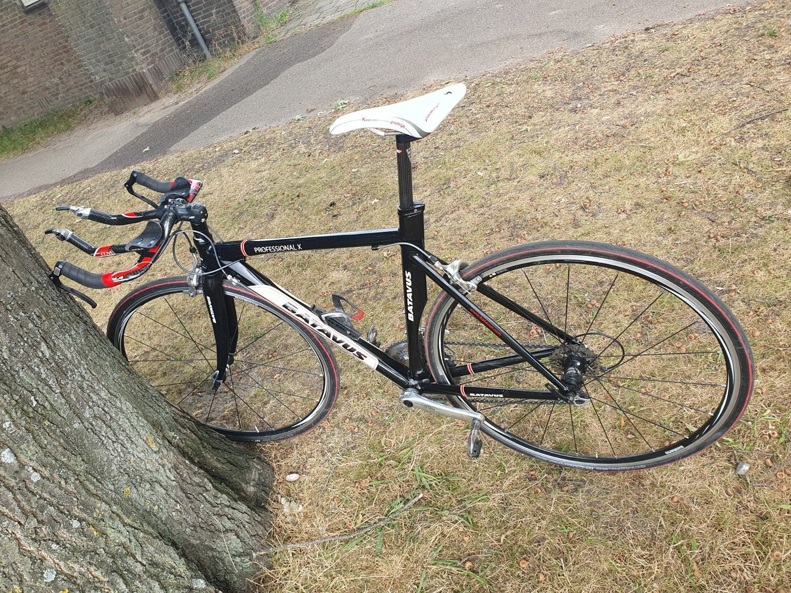 TT Batavus Professional X prima triathlon tijdritfiets 52 cm, Fietsen en Brommers, Fietsen | Racefietsen, Ophalen, 28 inch, Gebruikt