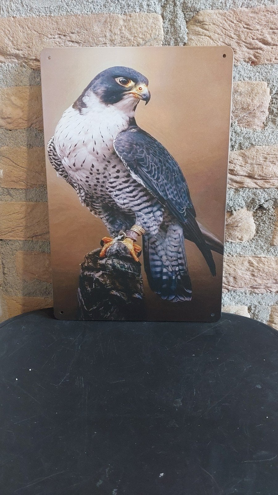 Metalen bord 20x30cm met afbeelding van een valk, Metaal, Meerkleurig, Nieuw, Ophalen of Verzenden