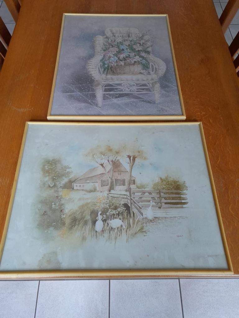 2 schilderijen, Minder dan 50 cm, Gebruikt, Ophalen of Verzenden, Schilderij