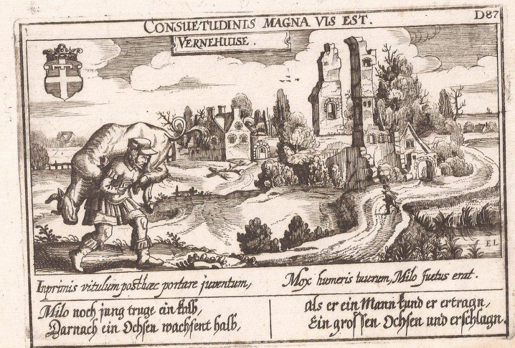 Ruïne Vernehuizen bij Lienden. Vernehuise Meisner Kopergravu, Antiek en Kunst, 10 cm, Stadsgezicht, 15 cm, 1600 - 1699