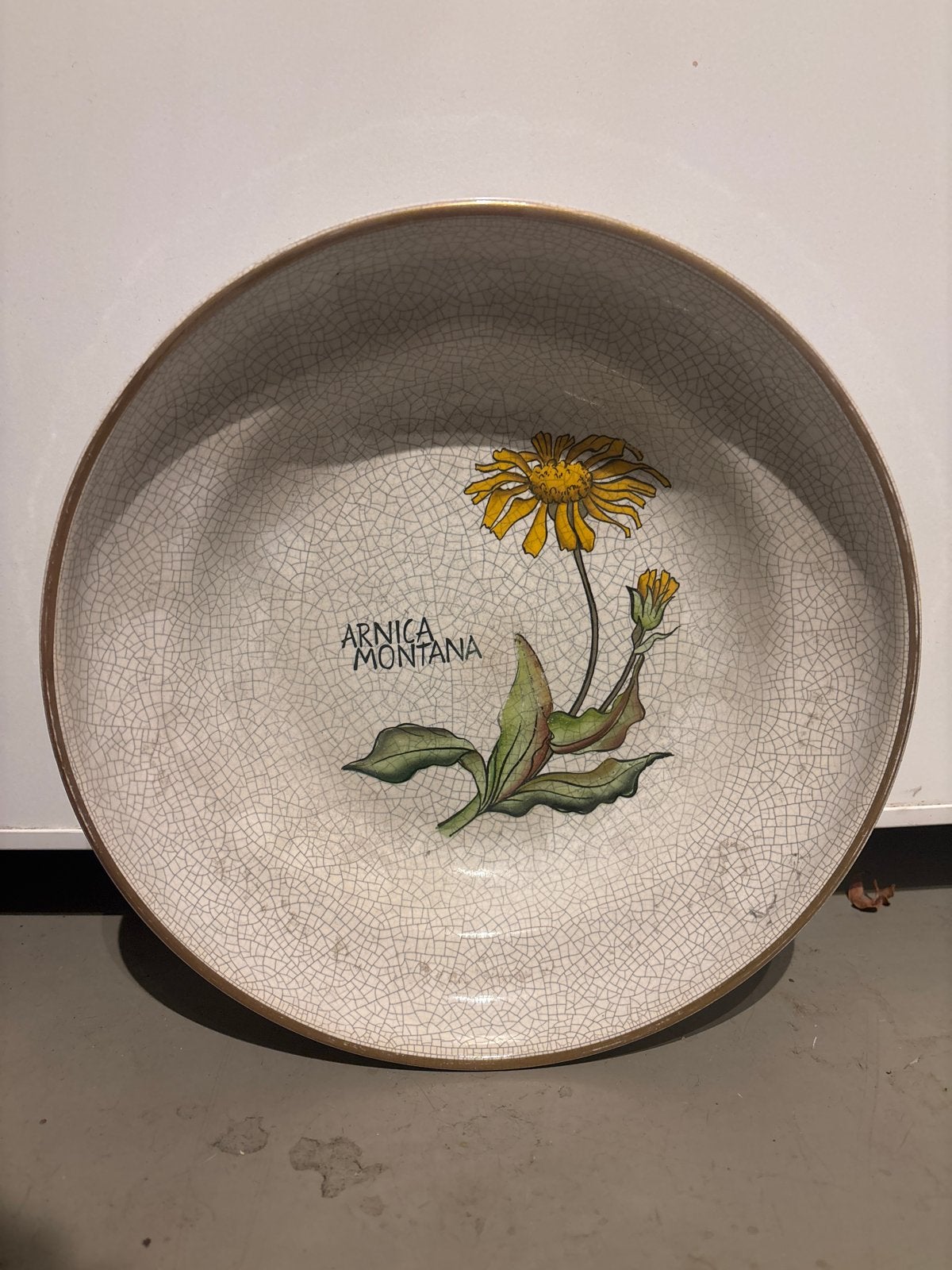 Vintage Arnica Montana decoratieve schaal/bord, Ophalen