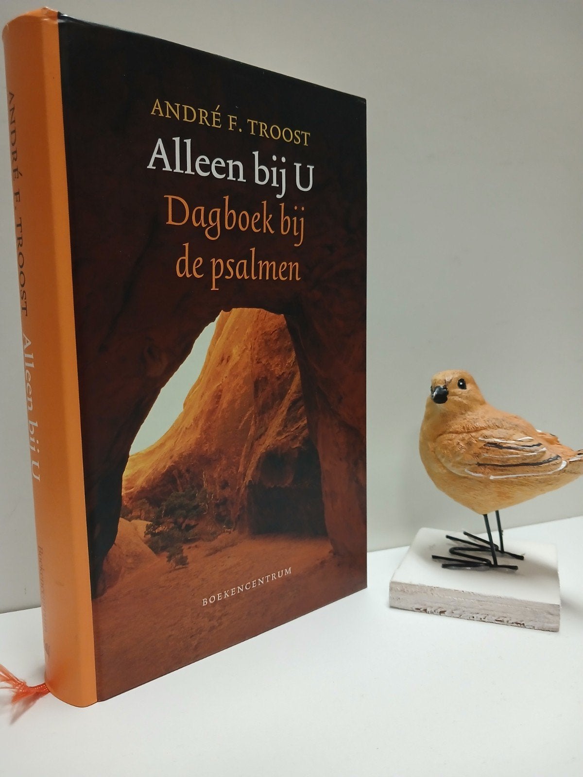Troost, Andre F.; Alleen bij U (Dagboek bij de Psalmen), Ophalen of Verzenden, Gelezen, Christendom | Protestants