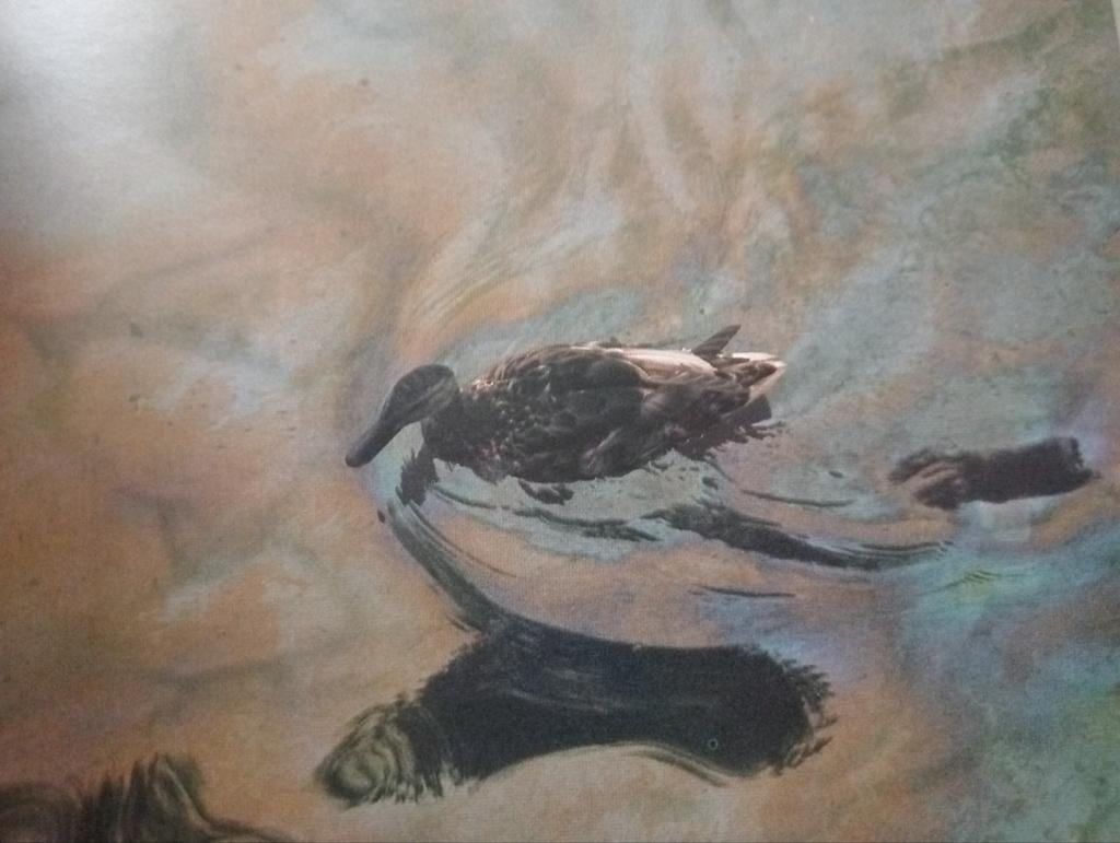 Nederland leven met het water Kees Scherer Evert Werkman, Boeken, Ophalen of Verzenden, Gelezen