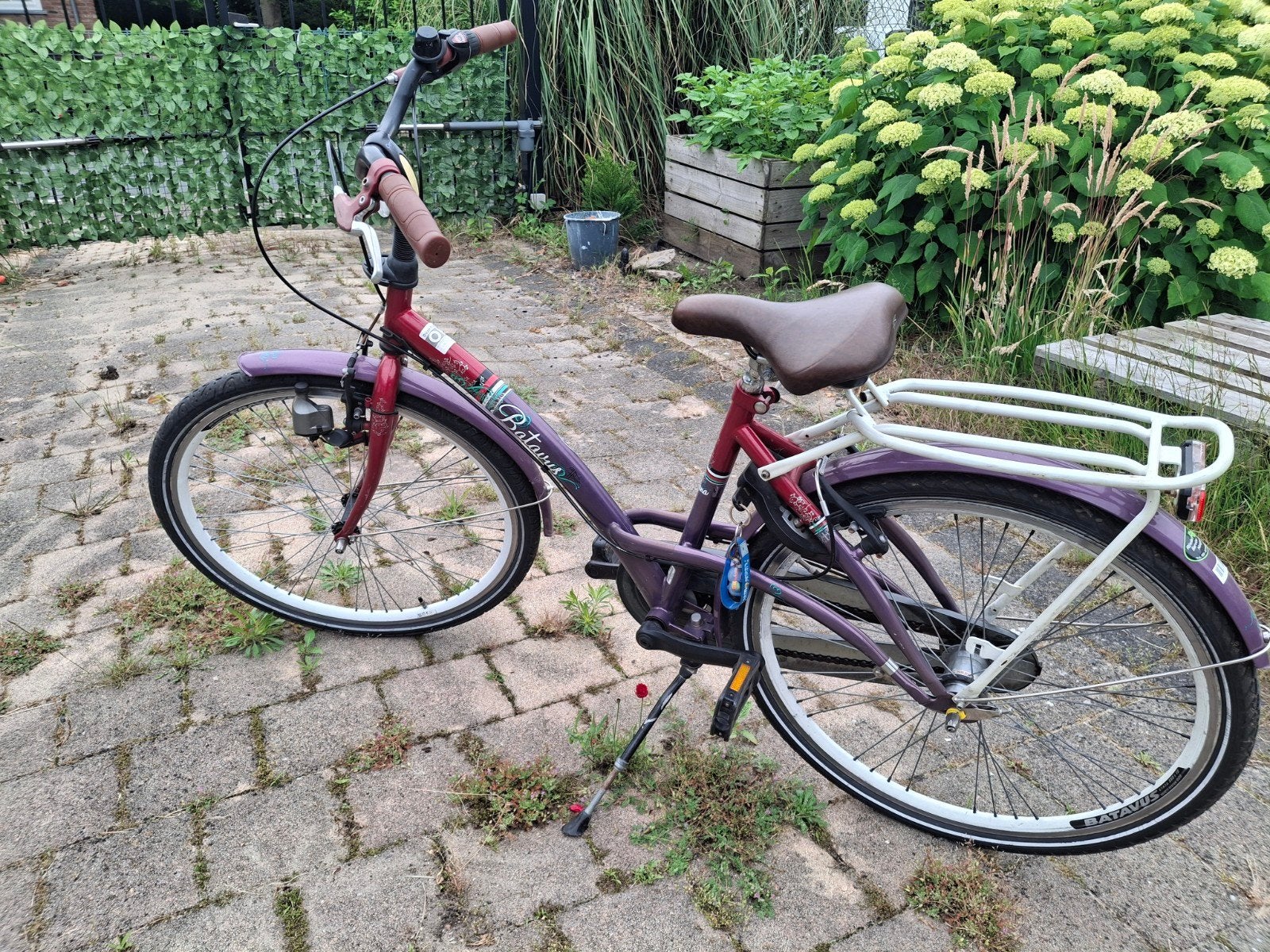 Batavus damesfiets met lage instap, Fietsen en Brommers, Fietsen | Dames | Damesfietsen, Ophalen, Terugtraprem, Batavus, 50 tot 53 cm