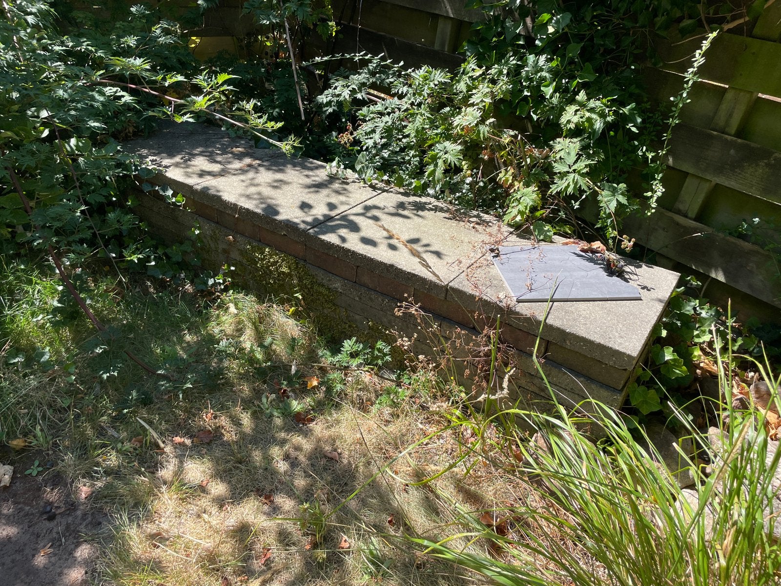 GRATIS - Grote tegels en bakstenen, Tuin en Terras, Ophalen, Zo goed als nieuw, Beton, Terrastegels